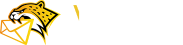 AI寻单豹